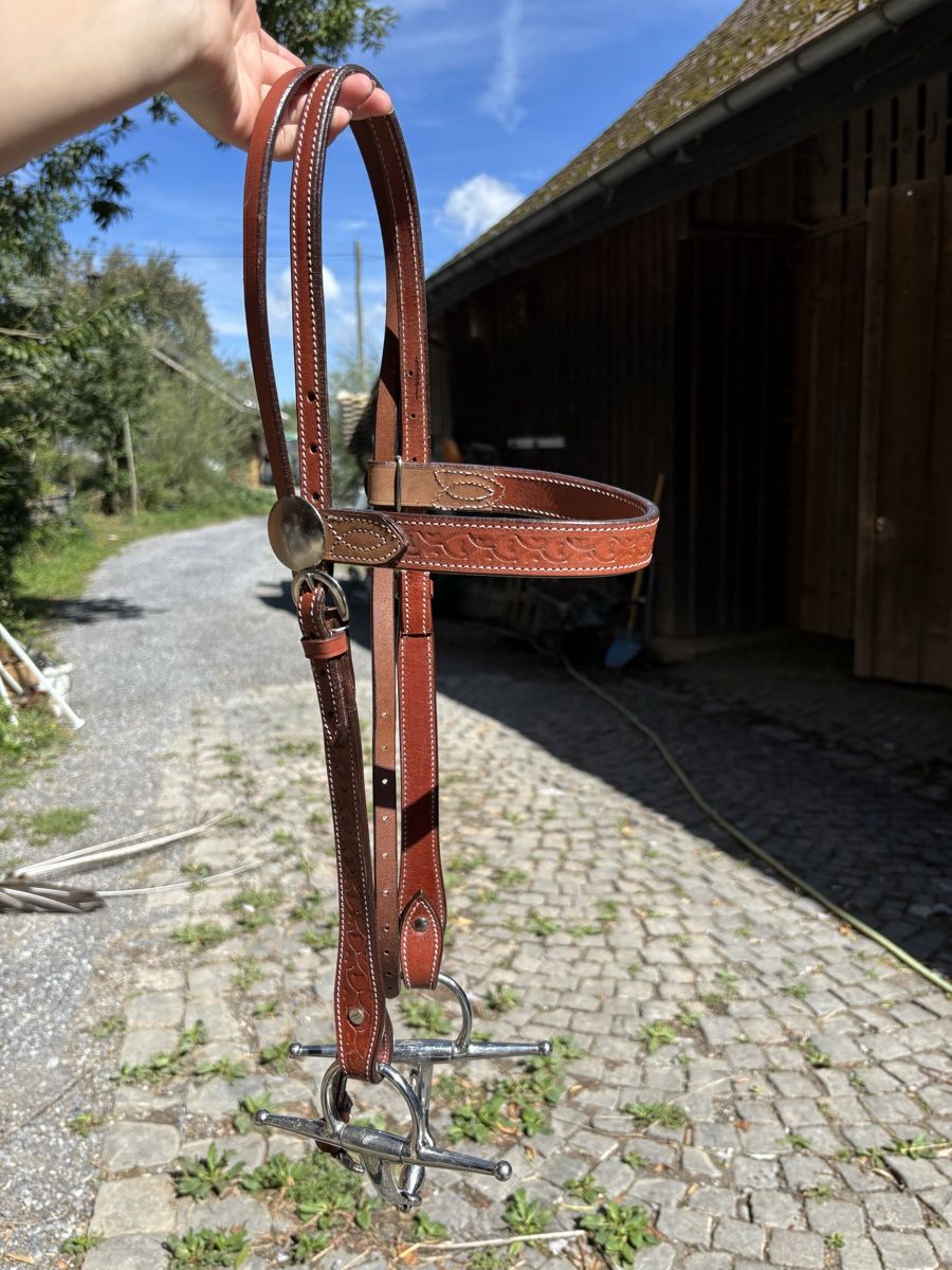 Zaumzeug & Halfter: Zaum – Gebraucht aus St. Gallen von may_8fbd