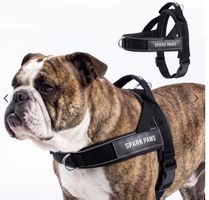 Spark Paws – Harnais pour chien – Taille 2 – Neuf