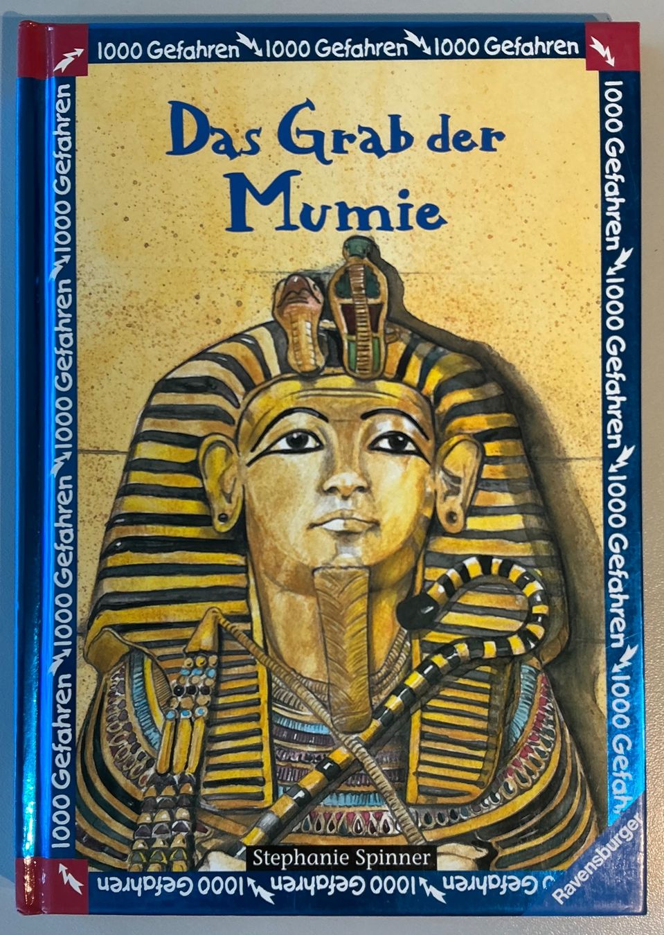 Libri: Abenteuerbuch "Das Grab der Mumie" Ravensburger – Usato da Wil SG venduto da elrawi