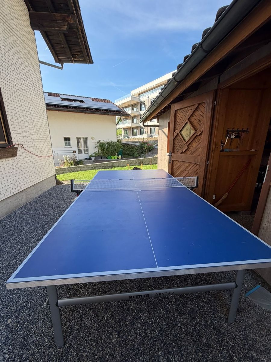 Tennis da tavolo: Ping Pong Tisch  – Usato da Seewen SZ venduto da sil_7dg5 1