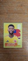 Fifa World Cup Panini COL 10