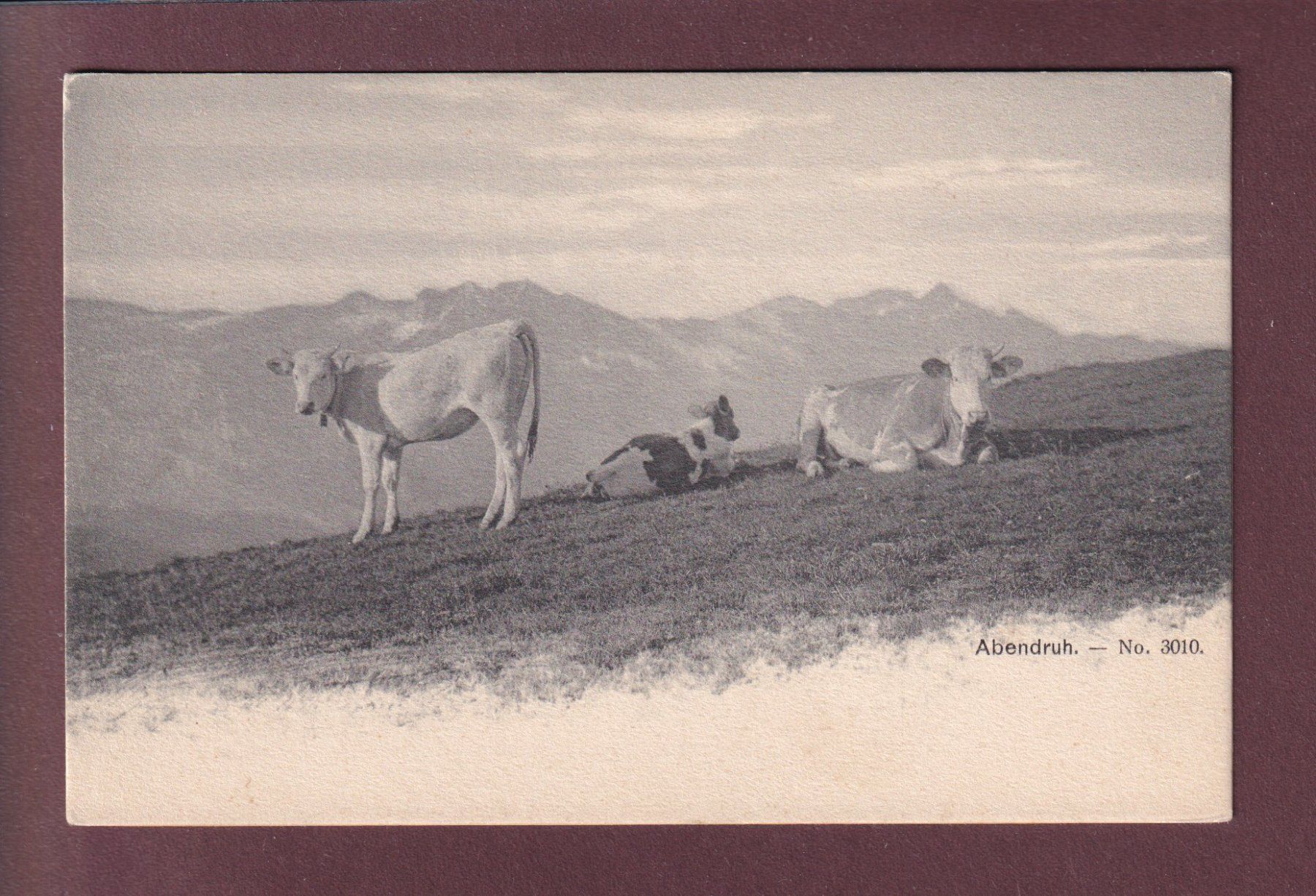 Cartoline postali: Abendruh - KÜHE – Usato da Pully venduto da nicecards