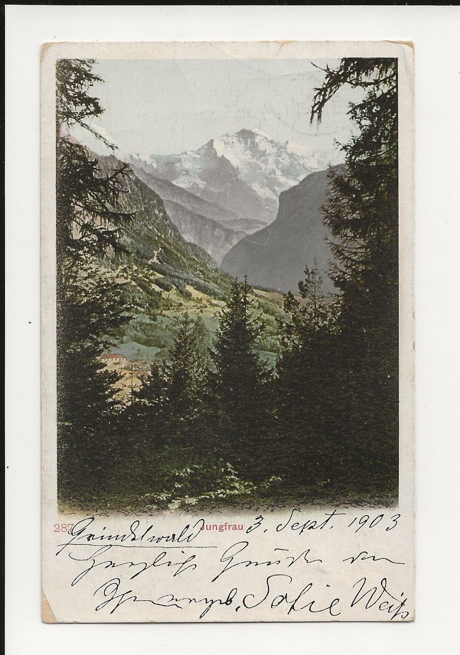 Cartoline postali: AK 1903 Grindelwald, Jungfrau – Usato da Greifensee venduto da 315WDO