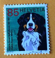 Nr.1227 Berner Sennenhund GESTEMPELT Sondermarken 2007   