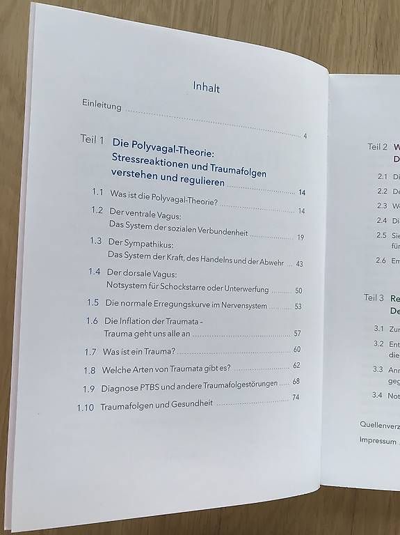 Libri: Buch Der Vagusnerv  – Usato da Egolzwil venduto da taraxacum65 2