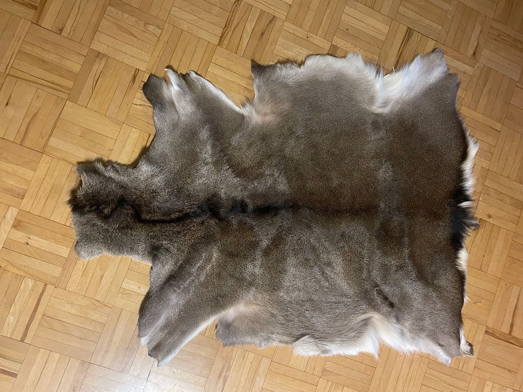 Decken: Hirschfell vom Sikahirsch – Neu (gemäss Beschreibung) aus Gunzgen von sinafue