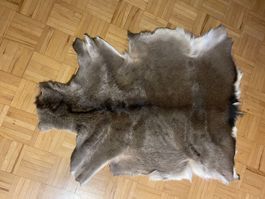 Hirschfell vom Sikahirsch