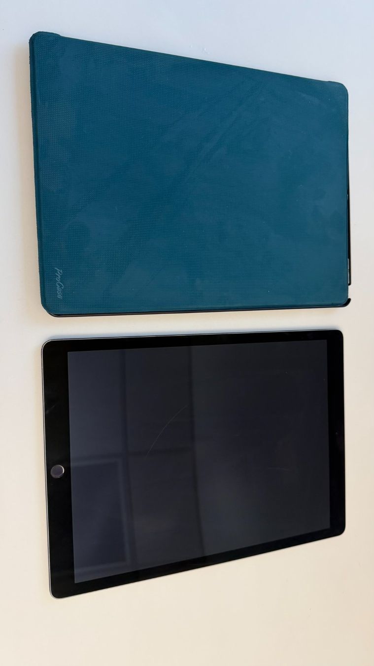 Apple Tablet PC: iPad Pro 12.9 Zoll – Usato da Oberkirch LU venduto da bikemonkey 1