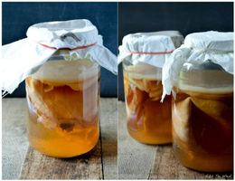 Kombucha Fermentation Teepilz Scoby