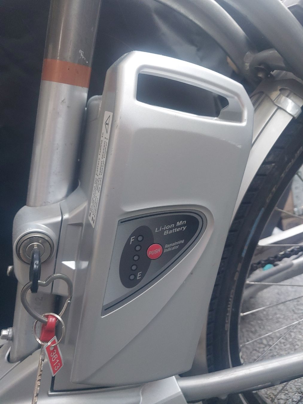 Biciclette: Flyer E-Velo 45 kmh 2 Akuu dabei – Usato da Oberriet SG venduto da Sager5 1