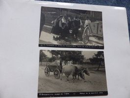 Sofia,Bulgarien,2 Fotos,1931,Woll-Markt,Ochsen-Karren,Typen