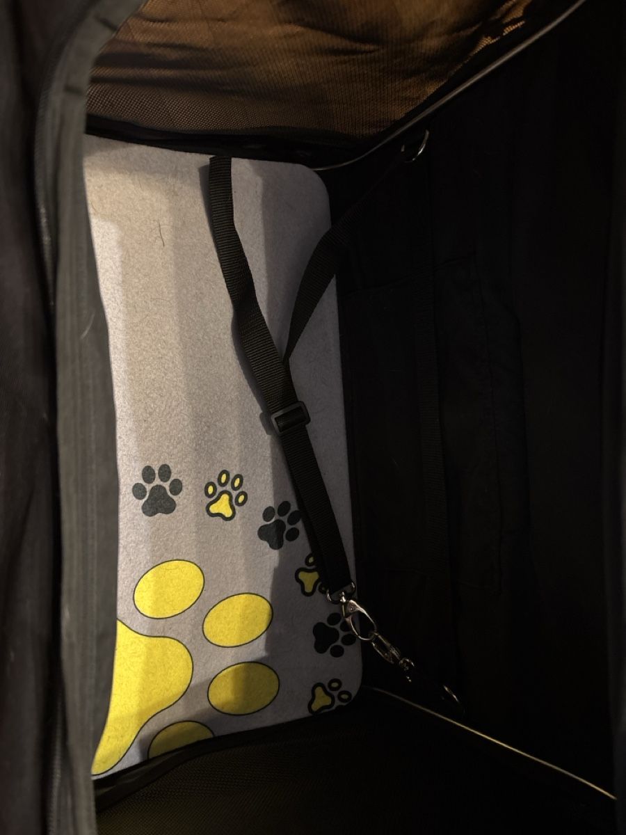 Borse: Motorrad Hundebox – Usato da Bonstetten venduto da Greyshim 5