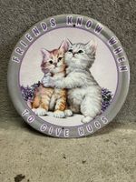 Cats katzen