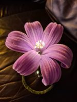 Lilien Lampe lavendel/lila Blume Handarbeit