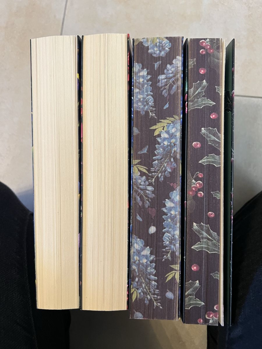 Bücher: Fantasy Buch – Gebraucht aus Kollbrunn von Schollenberger_Jenny 2