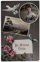 Romantik - In Treue Dein.