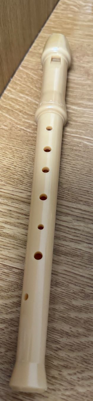Instruments de musique: Blockflöte – D'occasion à Losone par Kleeblatt_1