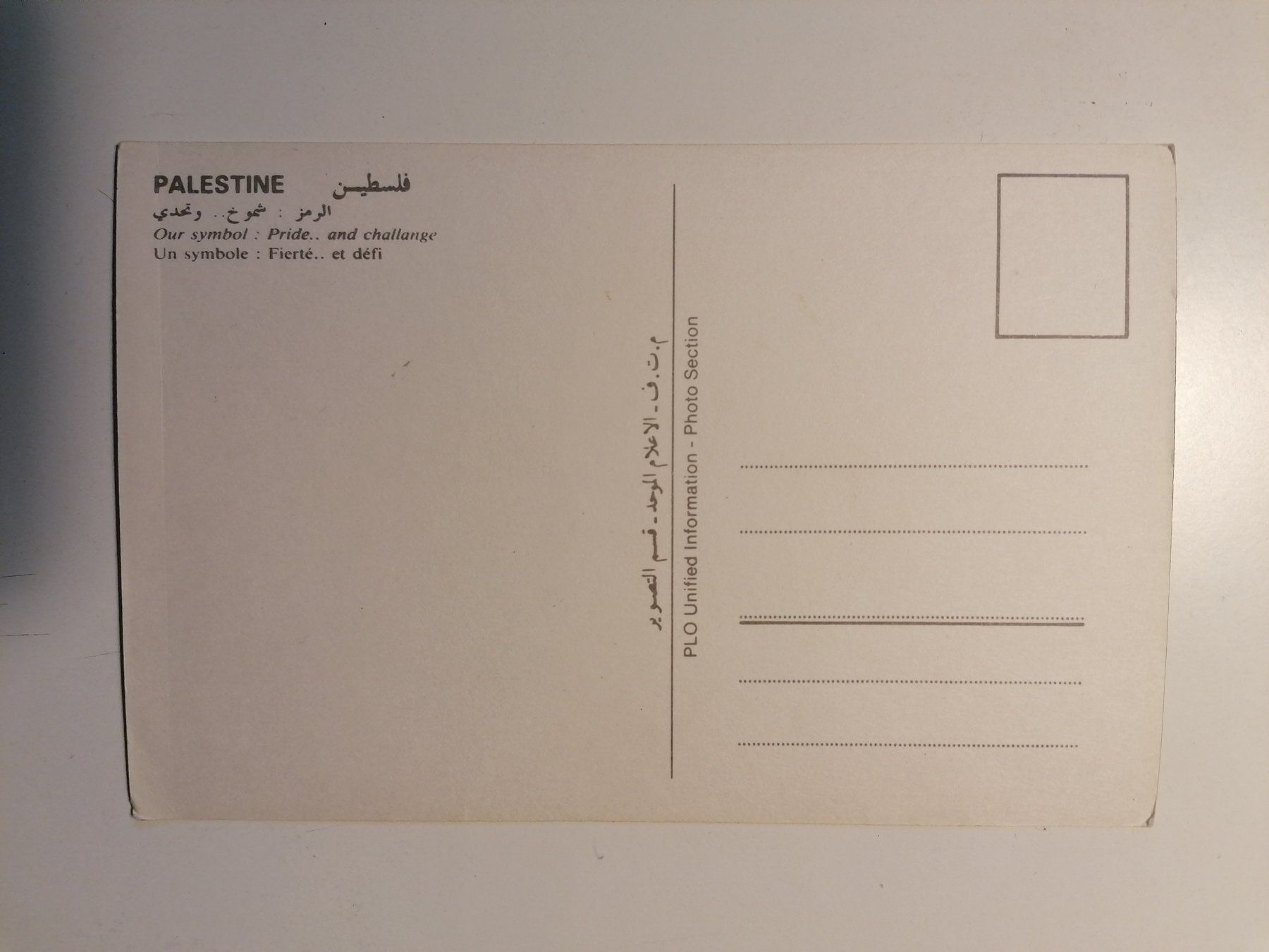 Cartoline postali: PLO Postkarte – Nuovo (secondo la descrizione) da Bottmingen venduto da dah_cfj9 1
