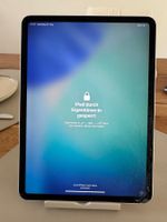 iPad Pro 11” (1 Generation)