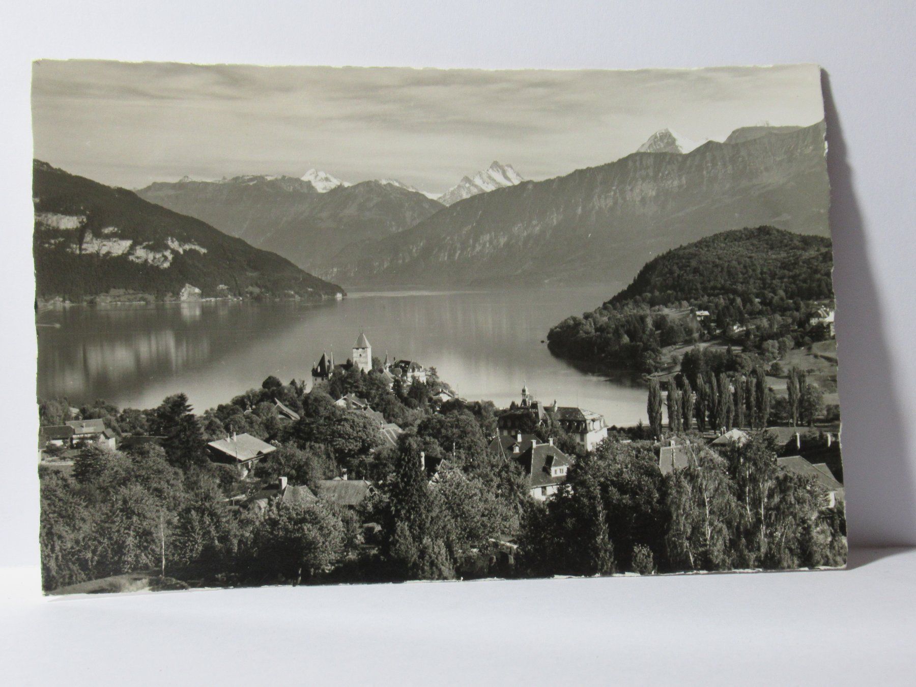 Cartoline postali: Spiez am Thunersee – Nuovo (secondo la descrizione) da Grenchen venduto da Bluemchen1900
