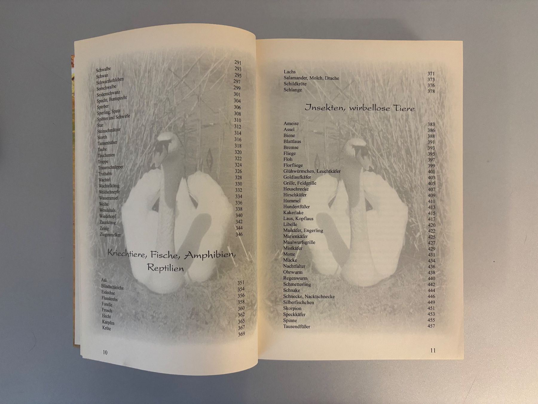 Bücher: Tierisch gut - Tiercharakter-Lexikon Tierregister – Neu (gemäss Beschreibung) aus Unterägeri von flu_zp5d 4