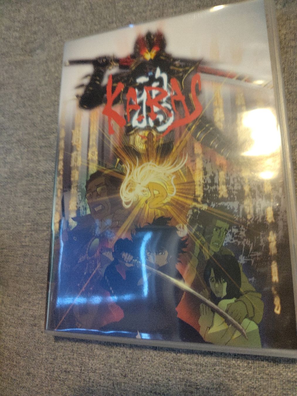 Alle DVDs: Karas Anime DVD – Gebraucht aus Winterthur von BlackBird00