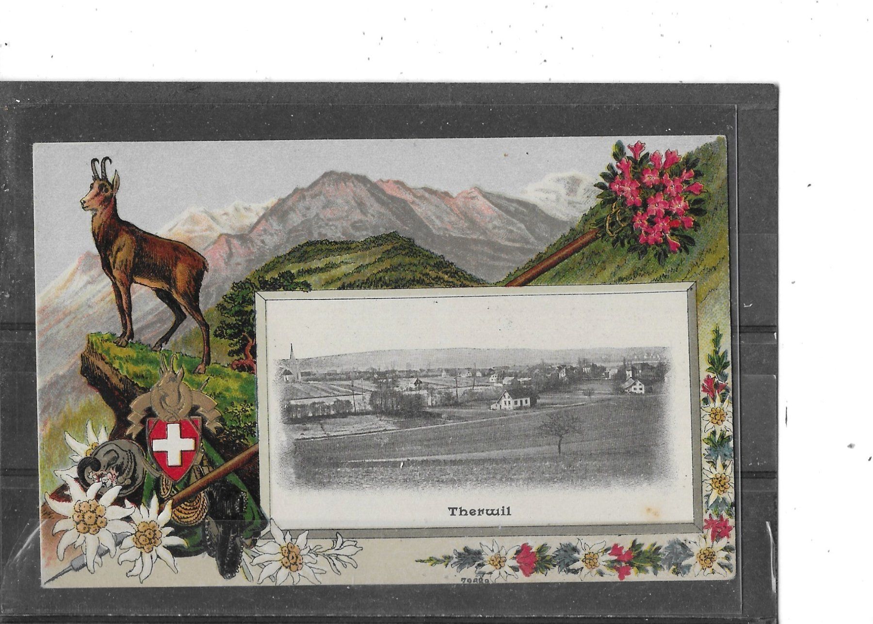 Cartoline postali: BL Therwil – Usato da Schocherswil venduto da Wilare