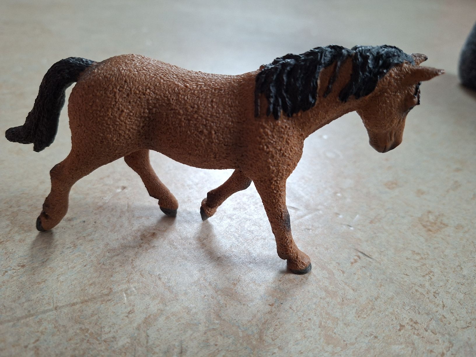 Schleich Giocattoli: Schleich Pferd, Bashkir curly Stute, braun – Usato da Klingnau venduto da vollmond36 1