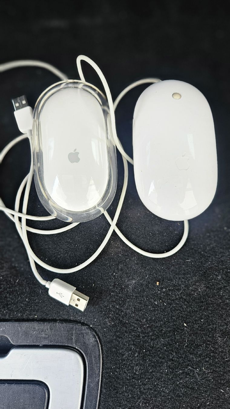 Apple Mouse: Apple Mouse M5762 with Cable good condition – Usato da Sachseln venduto da laz_65cg