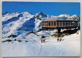 Bergrest. Bettmerhorn 2650 m ob Bettmeralp