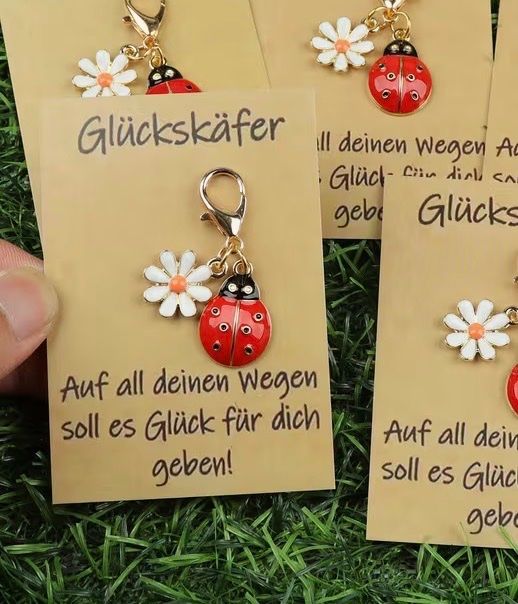 Porte-clés: GLÜCKSKÄFER - Anhänger NEU! – Neuf avec emballage d'origine à Frauenfeld par SCHATZtruhe_369