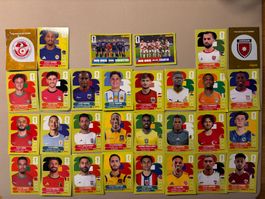 *** 30 neue Panini Sticker WM 2026, keine Doppelten! ***