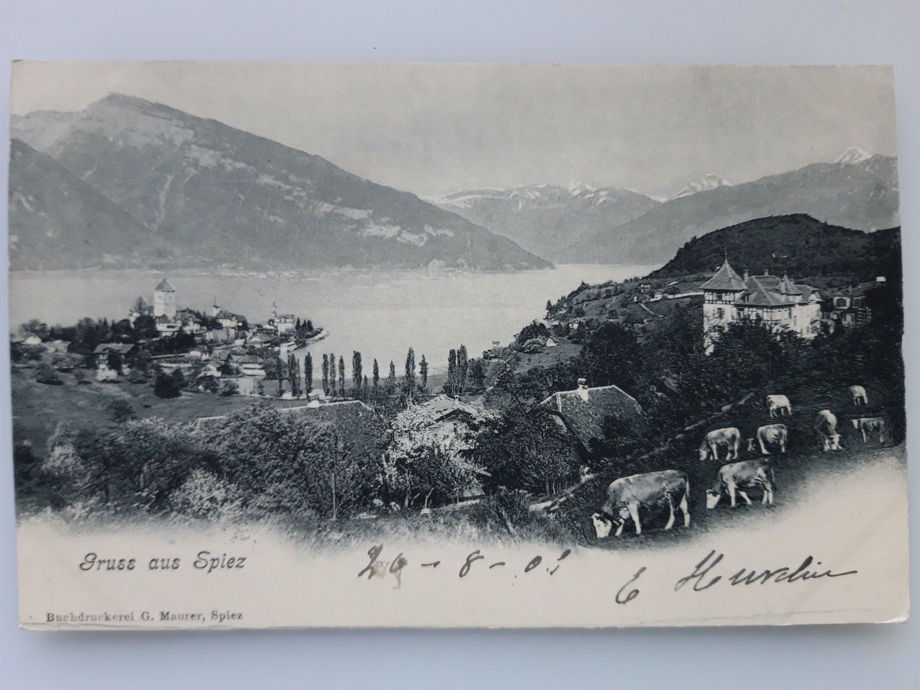 Cartoline postali: Gruss aus Spiez 1905 – Usato da Sargans venduto da nicsam1815