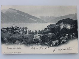 Gruss aus Spiez 1905