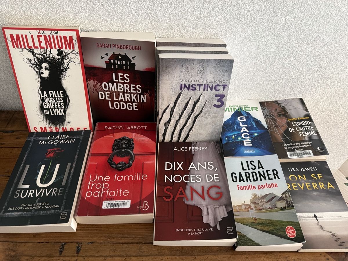 Bücher: Lot de 12 thrillers à vendre  – Gebraucht aus Vernayaz von cla_cj7n