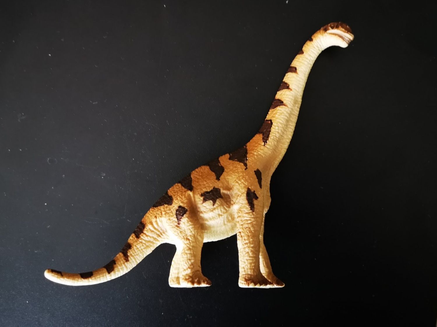 Schleich Giocattoli: Brachiosaurus von Schleich – Usato da Liestal venduto da Gitterli01