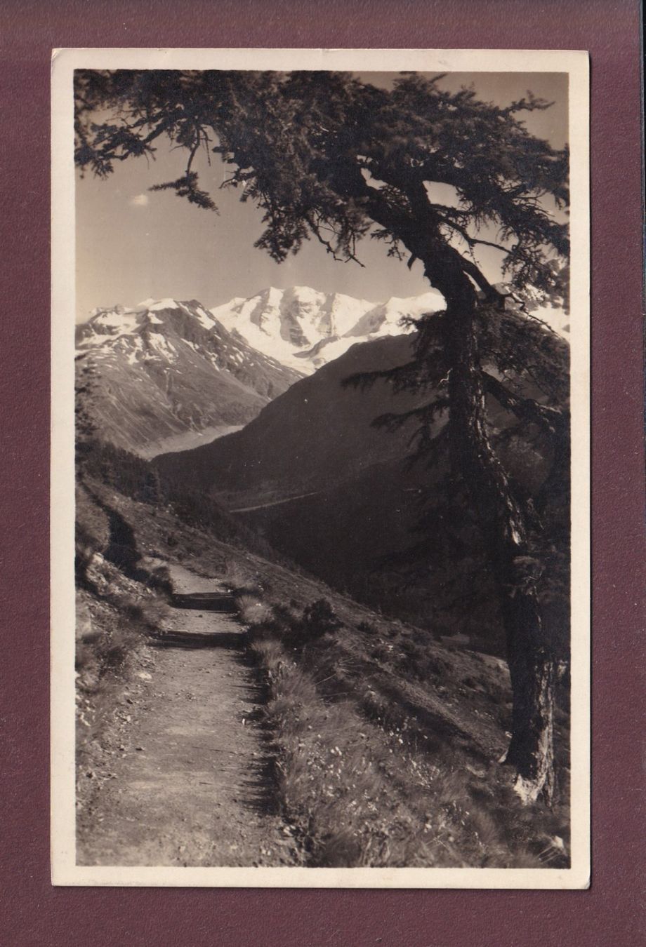 Cartoline postali: SCHAFBERG-WEG - Piz Palü - 1927 – Usato da Pully venduto da nicecards