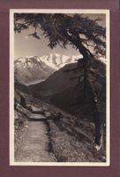 SCHAFBERG-WEG - Piz Palü - 1927
