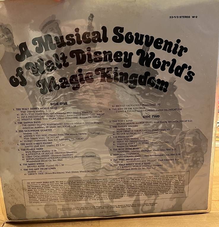 Dischi in vinile: Walt Disney vinile 1975 – Usato da Bellinzona venduto da EneaPedrini 1
