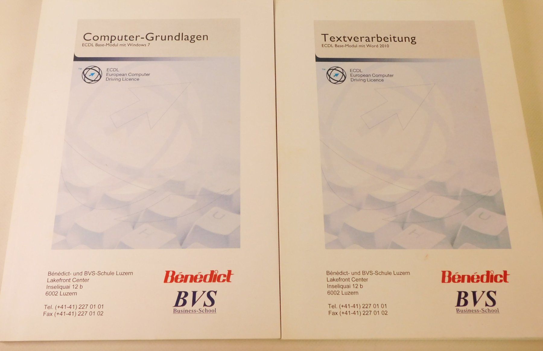 Libri: Vintage Benedict BVS Computer-Schulungshandbücher 2010er – Usato da Emmenbrücke venduto da Neverlaand-22 1