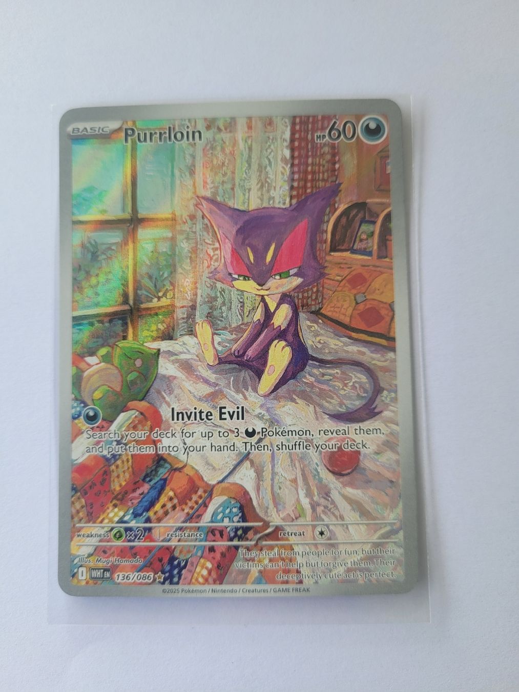 Pokémon Carte collezionabili: Pokemon Purrloin EN – Nuovo (secondo la descrizione) da Brunnen venduto da Schlumpf018