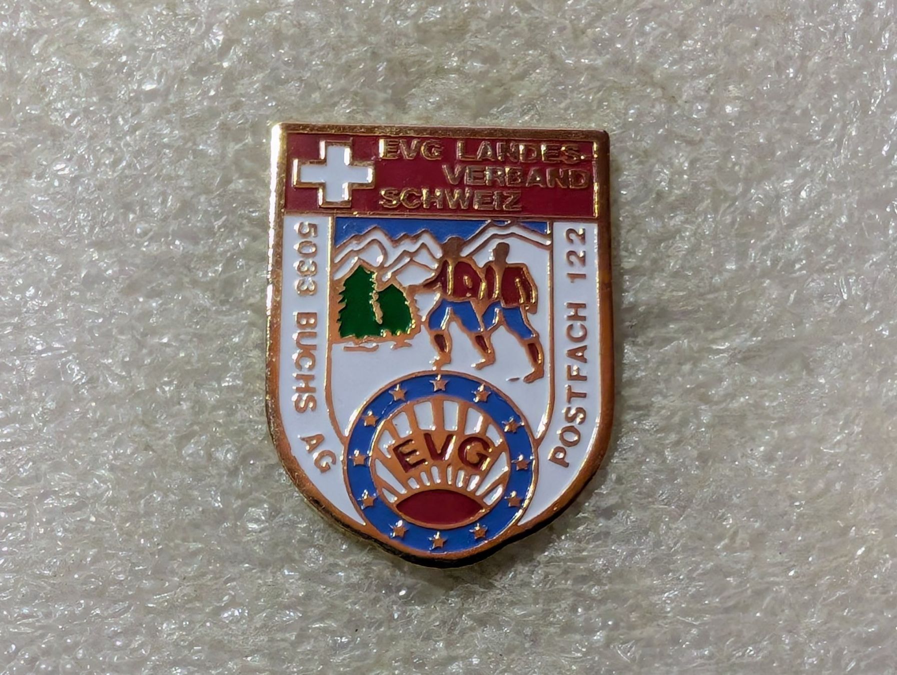 Placchette & Badge: Ansteckpin 220: EVG – Usato da Oppligen venduto da Pin-Fall-Shop