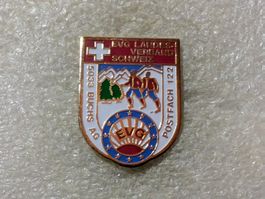 Ansteckpin 220: EVG