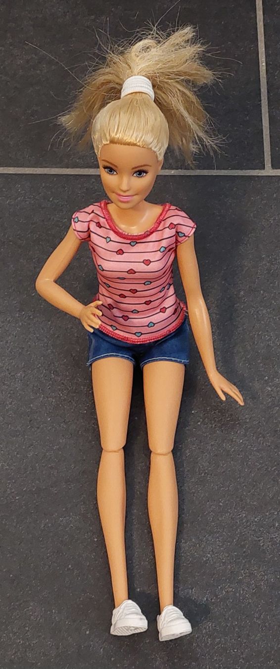 Bambole: Barbie Hundemama mit Welpen – Usato da Liesberg Dorf venduto da FamilieBond007 1
