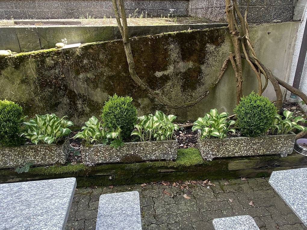 Vasi per fiori: Blumenkiste bepflanzt – Usato da Bürglen TG venduto da jap_dcm6 3