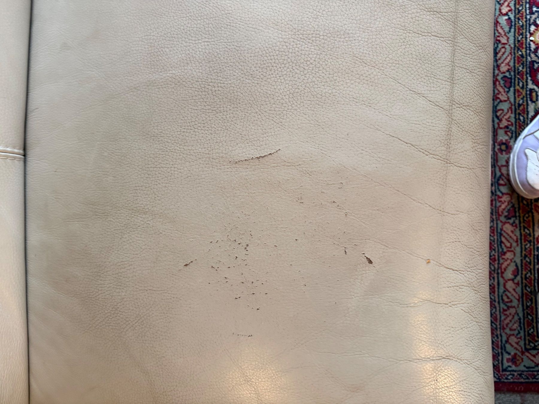 Divani: Ecksofa Leder beige mit Gebrauchsspuren gebraucht – Usato da Reinach BL venduto da 15Miiine16 1