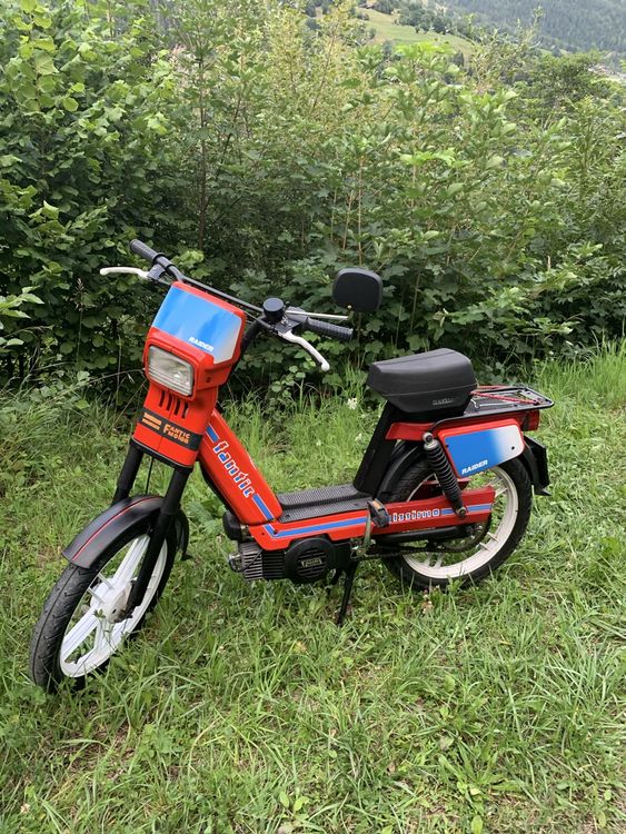 Fantic Raider Issimo 287 Mofa,Top Zustand, restauriert (Gebraucht) in ...