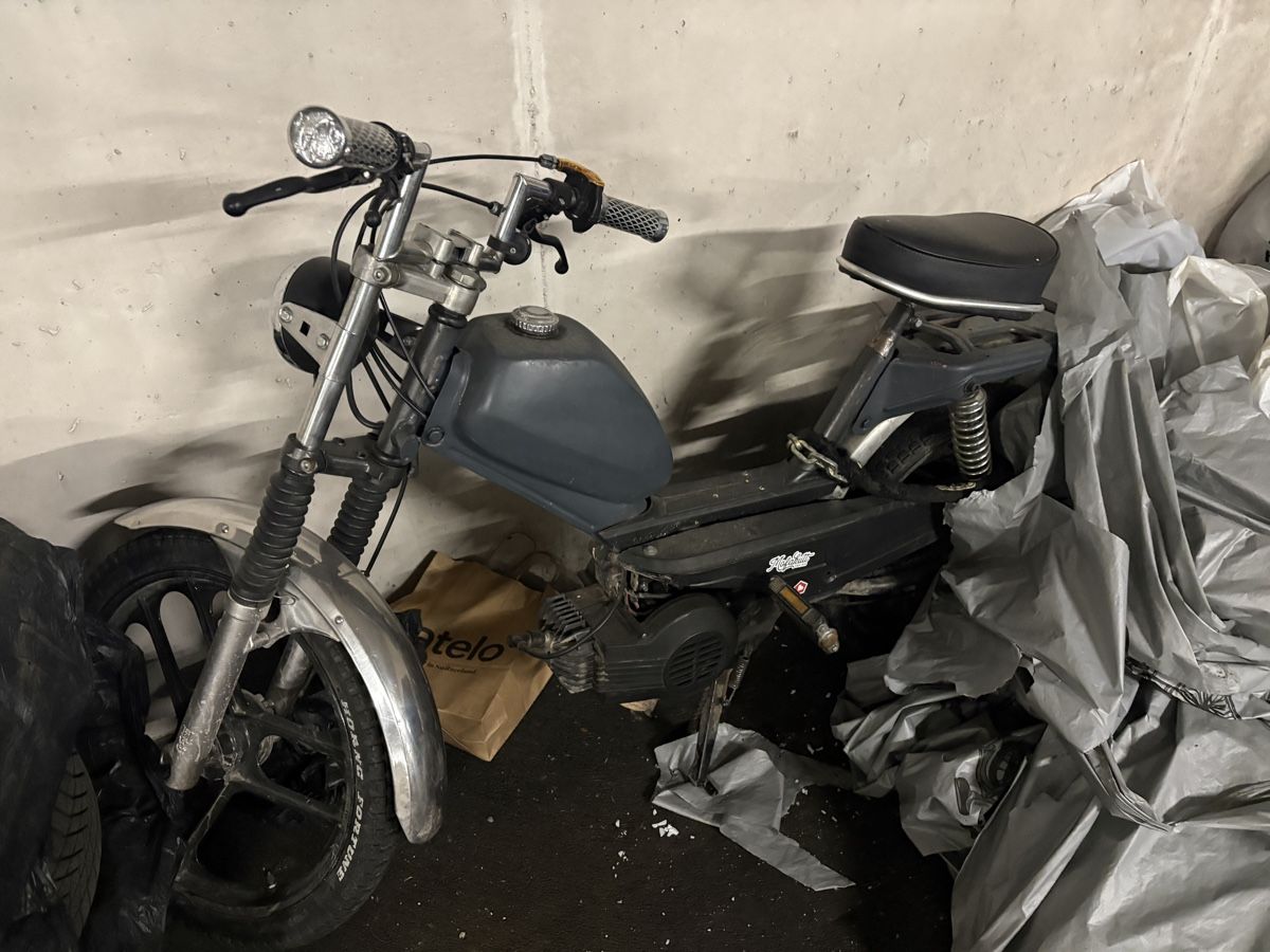 Pony Ciclomotori: Pony GTX Mofa – Usato da Greifensee venduto da oli_q2zg 6