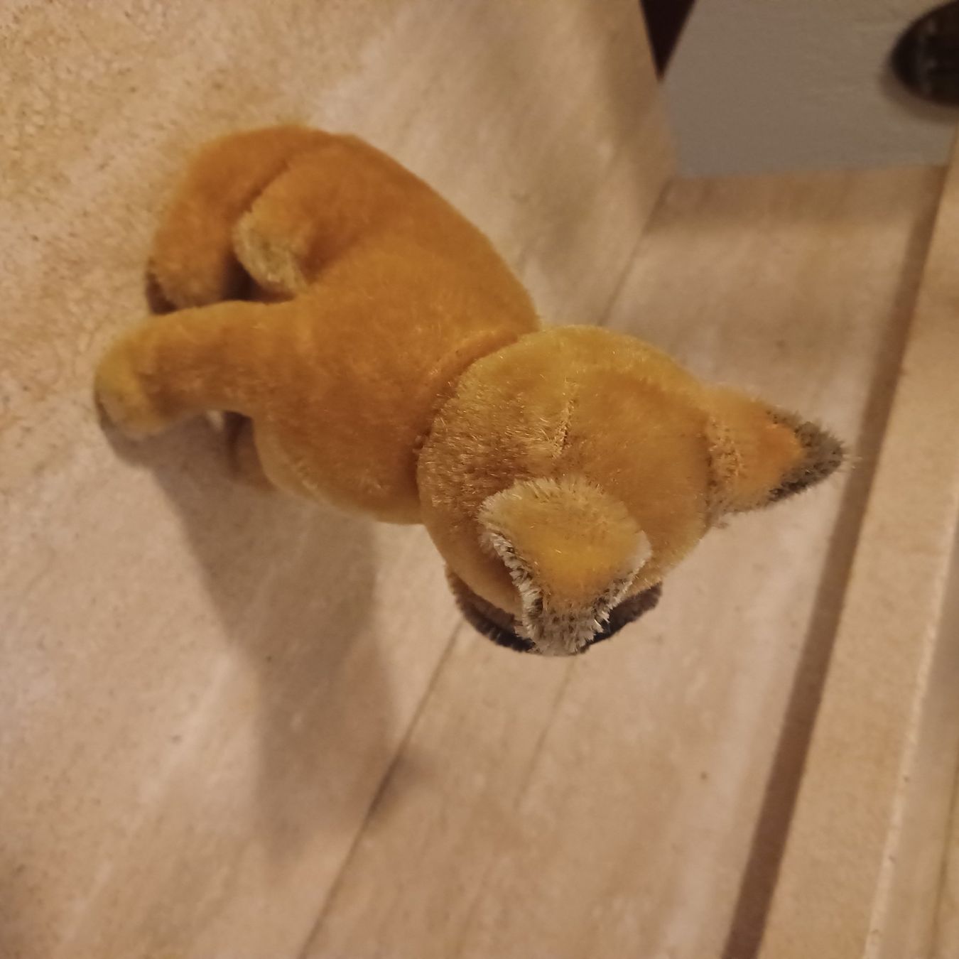 Steiff Spielzeuge: süsser kleiner Boxer von Steiff 14 cm gross – Gebraucht aus Abtwil SG von luupsy 2