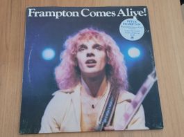 DLP  Peter Frampton